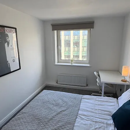 Modern Bright Flat & Stylish