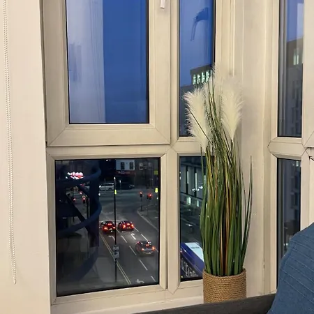 Modern Bright Flat & Stylish