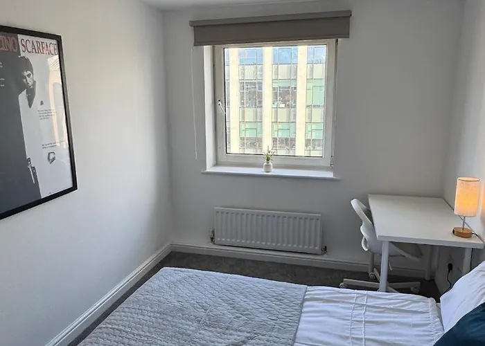 Modern Bright Flat & Stylish